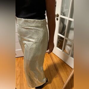 NWT ZARA SEQUIN PANTS SIZE XL and S